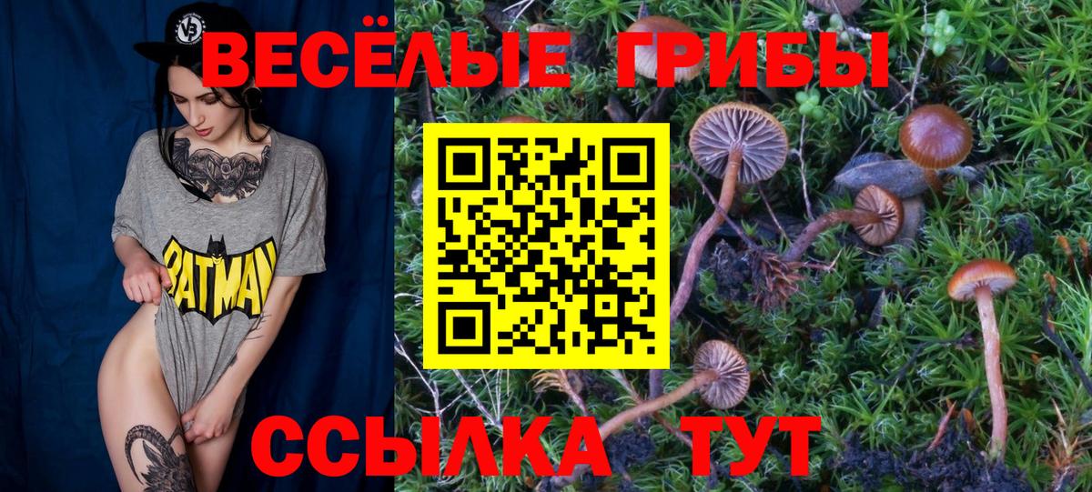 дарнет шоп  Псилоцибиновые грибы Magic Shrooms  Вход с VPN  Вышний Волочёк  Псилоцибиновые грибы MAGIC MUSHROOMS 