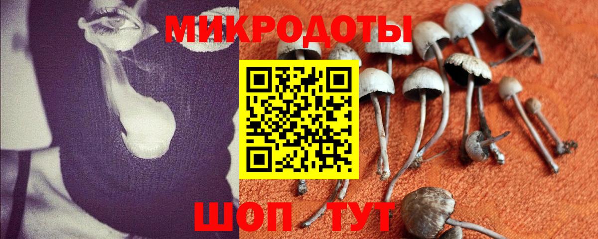 Галлюциногенные грибы ЛСД Вышний Волочёк