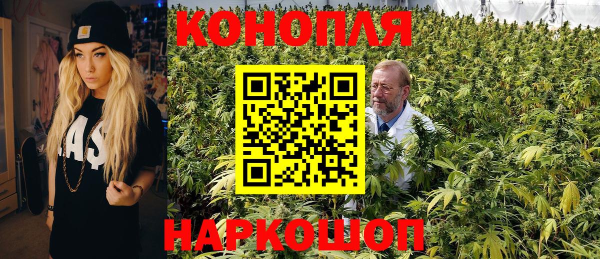 Бошки Шишки гибрид Вышний Волочёк